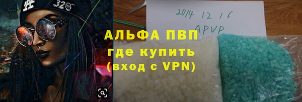 бошки Белокуриха