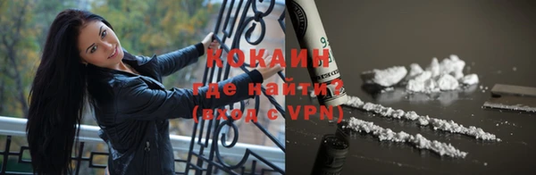 бошки Белокуриха
