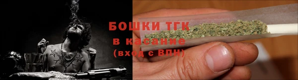 бошки Белокуриха