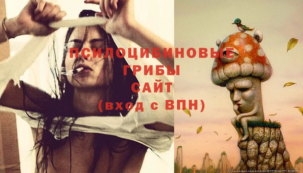бошки Белокуриха