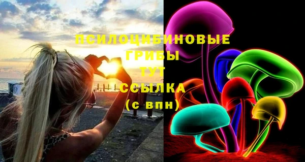бошки Белокуриха