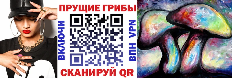 Купить где Мценск Галлюциногенные грибы Magic Shrooms